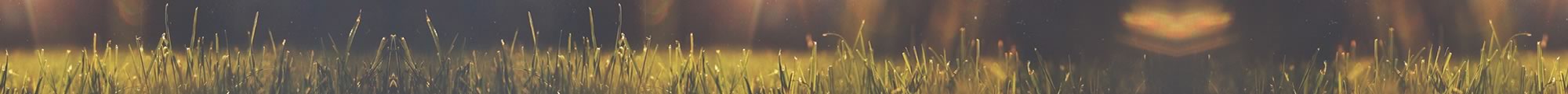 Banner interno