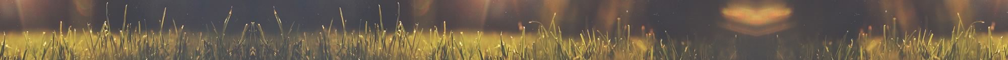 Banner interno